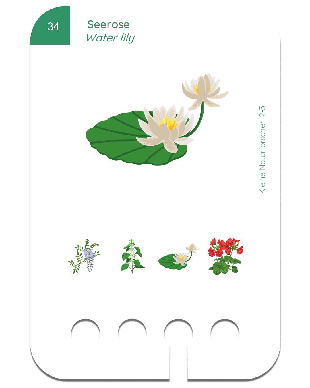 Kartensatz-Set ab 2-3 Jahren (6 Kartensätze)