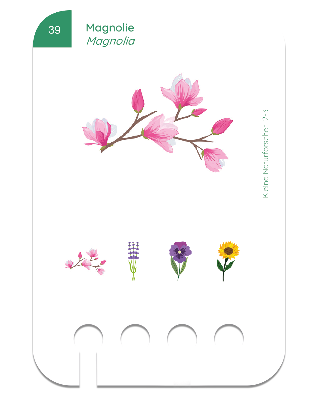 Kartensatz-Set ab 2-3 Jahren (6 Kartensätze)
