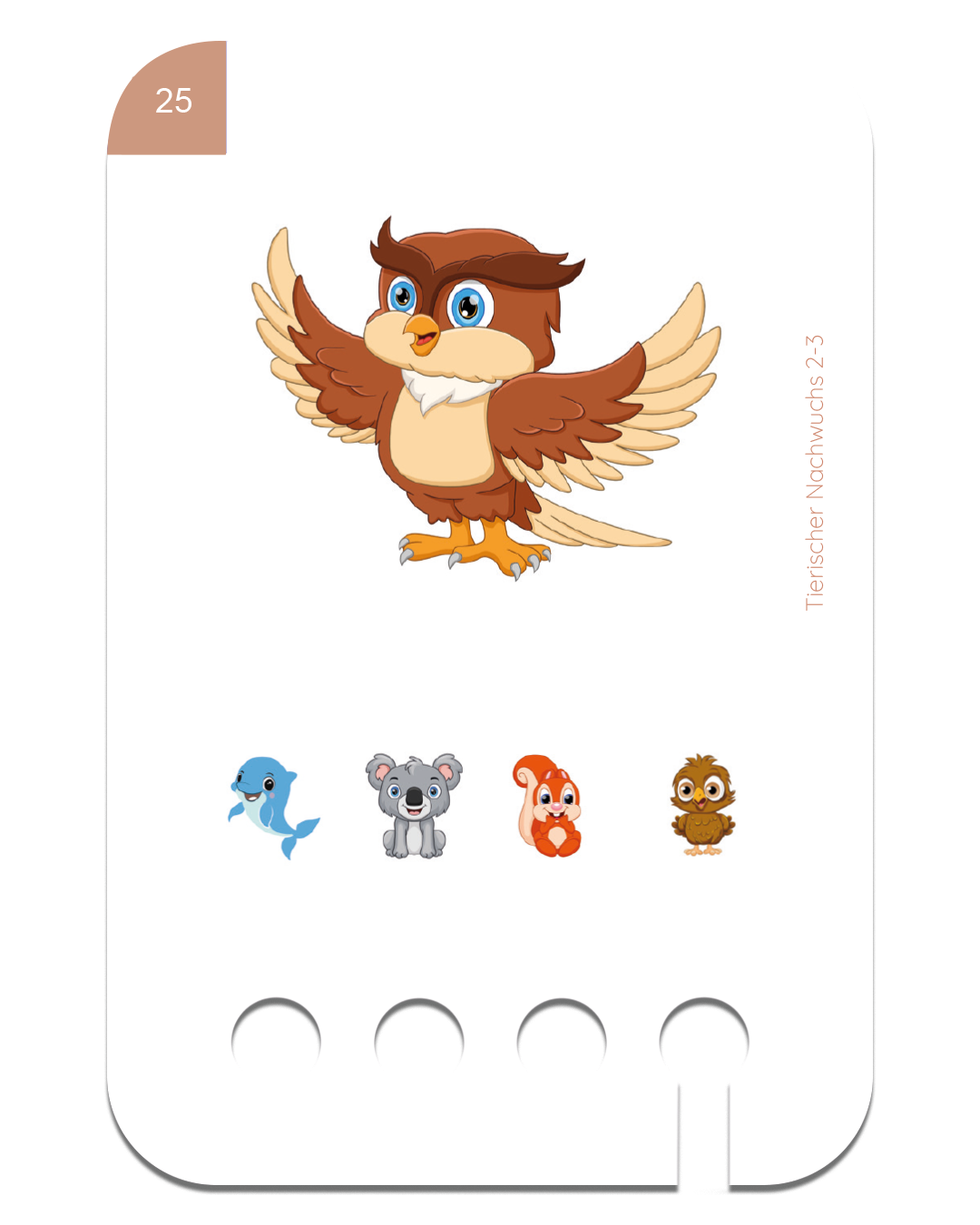 Kartensatz-Set ab 2-3 Jahren (6 Kartensätze)