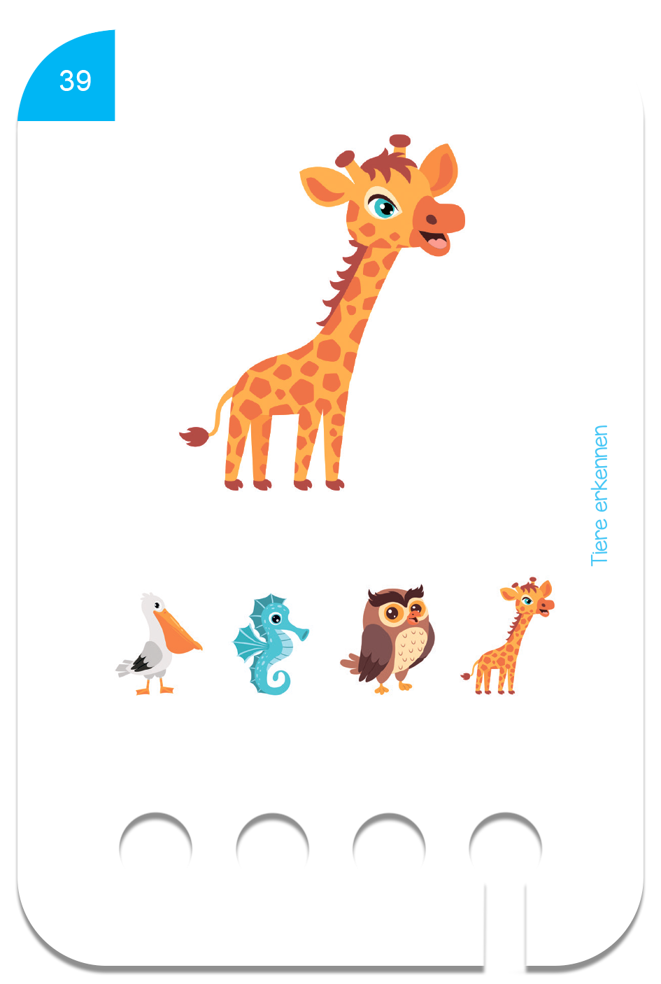 Puncho Starterset Ages 2+ with 6 Set of Cards