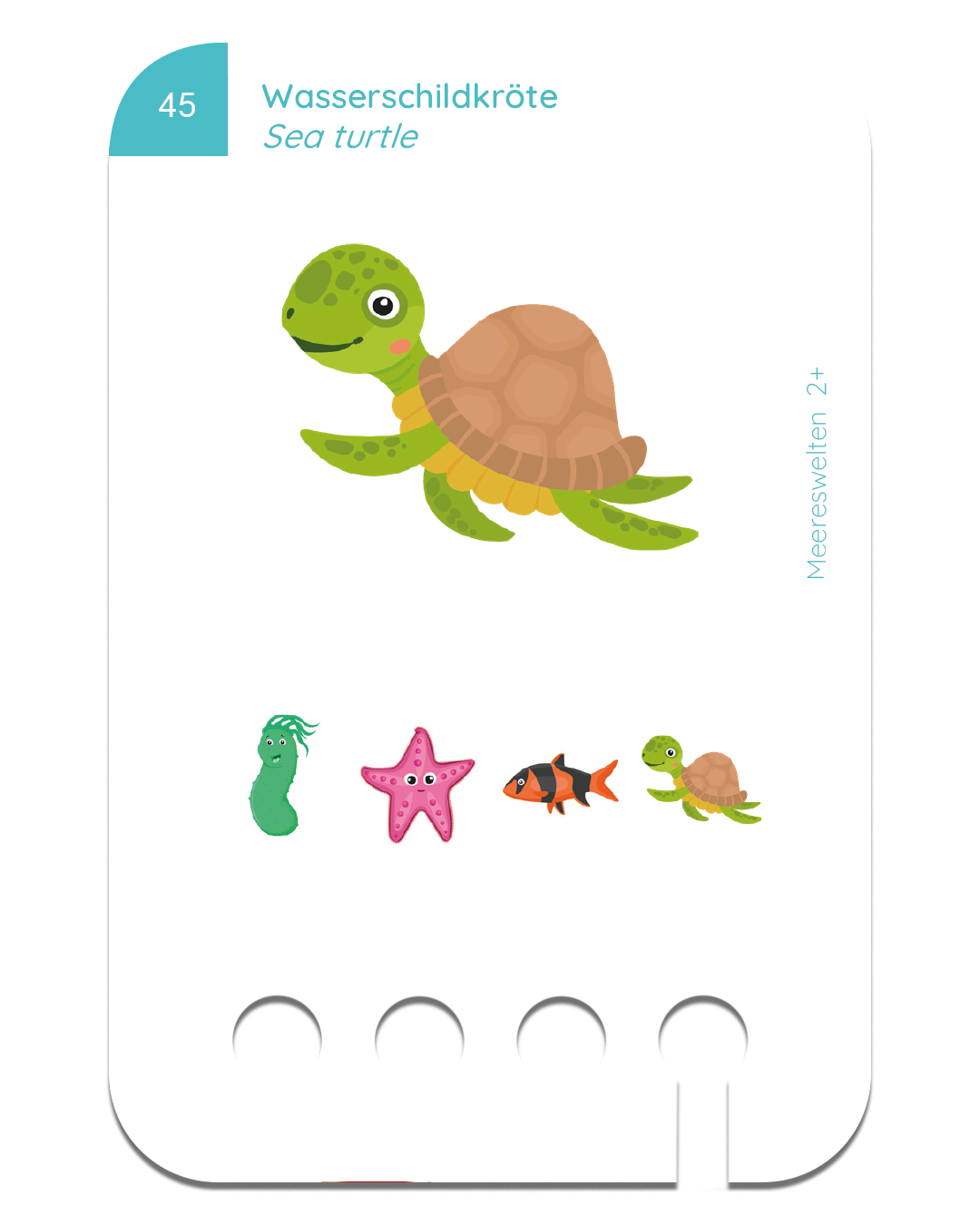 Puncho Starterset Ages 2+ with 6 Set of Cards