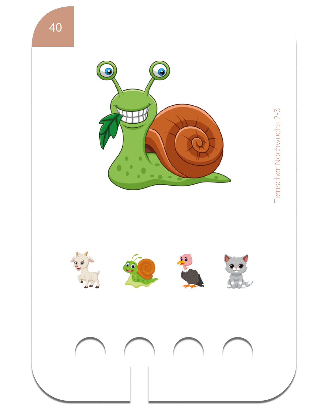 Kartensatz-Set ab 2-3 Jahren (6 Kartensätze)