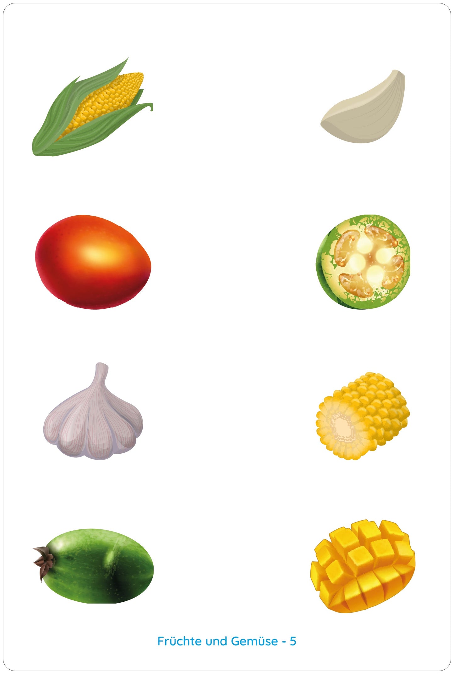 Lemo Kartensatz Früchte und Gemüse (ab 3 Jahren)